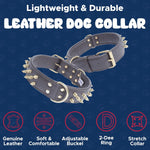 - Amsterdam Spiked Dog Collar, Genuine Leather Dog Collar for Large Dogs to Extra Large Dogs, Water-Resistant, Thick Dog Collar with D-Ring, Chocolate Brown Collar, 22 X 1.5 Inches