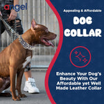 - Amsterdam Spiked Dog Collar, Genuine Leather Dog Collar for Large Dogs to Extra Large Dogs, Water-Resistant, Thick Dog Collar with D-Ring, Chocolate Brown Collar, 22 X 1.5 Inches