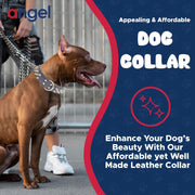 - Amsterdam Spiked Dog Collar, Genuine Leather Dog Collar for Large Dogs to Extra Large Dogs, Water-Resistant, Thick Dog Collar with D-Ring, Chocolate Brown Collar, 22 X 1.5 Inches