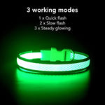 Light up Dog Collar, USB Rechargeable LED Puppy Collar Super Bright Adjustable Glowing Dog Lights for Night Walking (Green, Small)
