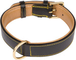 Black Leather Padded Dog Collar with Heavy Duty Brass Buckle, Size Xlarge, 28