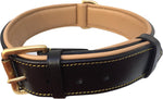 Black Leather Padded Dog Collar with Heavy Duty Brass Buckle, Size Xlarge, 28