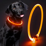 Lighted Dog Collar - Waterproof Puppy Collar Light Rechargeable, High Visibility Glowing Dog Lights for Night Walking (Orange)