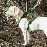 Dog Harness, Tactical Dog Harness No-Pull Breathable Adjustable Pet Vest with Handle for Outdoor Walking(Ranger Green,Small)