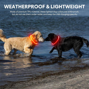 Lighted Dog Collar - Waterproof Puppy Collar Light Rechargeable, High Visibility Glowing Dog Lights for Night Walking (Orange)