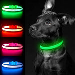 Light up Dog Collar, USB Rechargeable LED Puppy Collar Super Bright Adjustable Glowing Dog Lights for Night Walking (Green, Small)