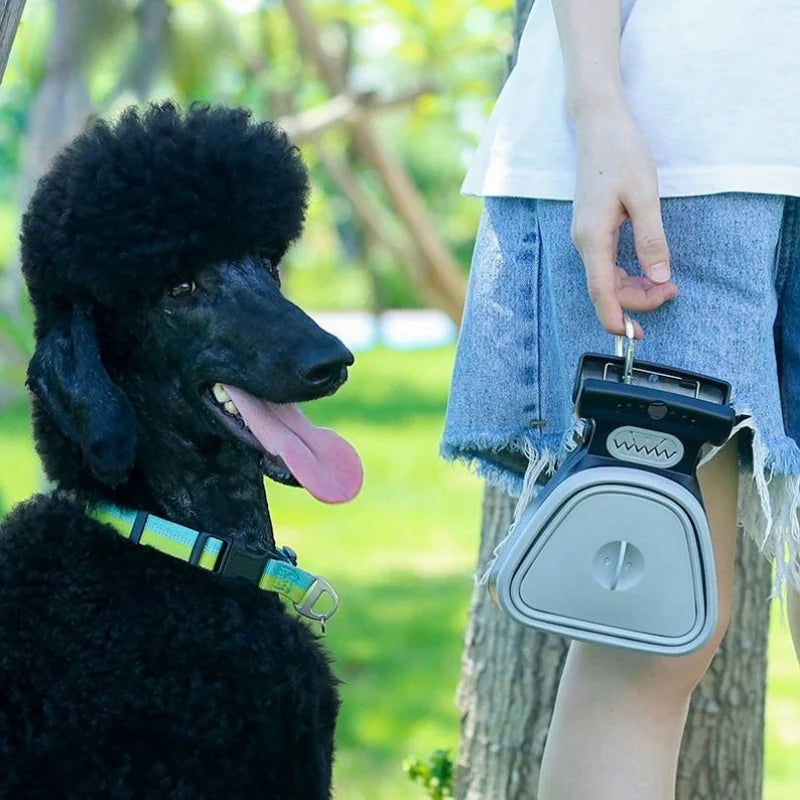 Black dog with a colorful collar standing next to a person holding a blue pet waste scooper in a park setting.