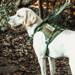 Dog Harness, Tactical Dog Harness No-Pull Breathable Adjustable Pet Vest with Handle for Outdoor Walking(Ranger Green,Small)