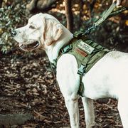Dog Harness, Tactical Dog Harness No-Pull Breathable Adjustable Pet Vest with Handle for Outdoor Walking(Ranger Green,Small)