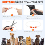 Lighted Dog Collar - Waterproof Puppy Collar Light Rechargeable, High Visibility Glowing Dog Lights for Night Walking (Orange)